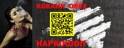 шишки Обь