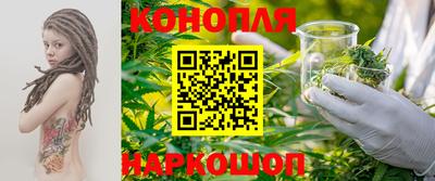 индика Обнинск