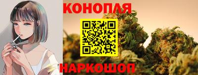 индика Обнинск