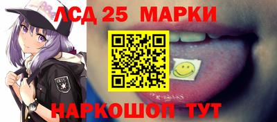 шишки Обь