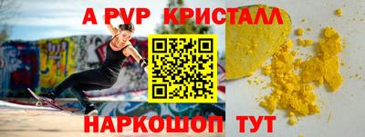 шишки Обь